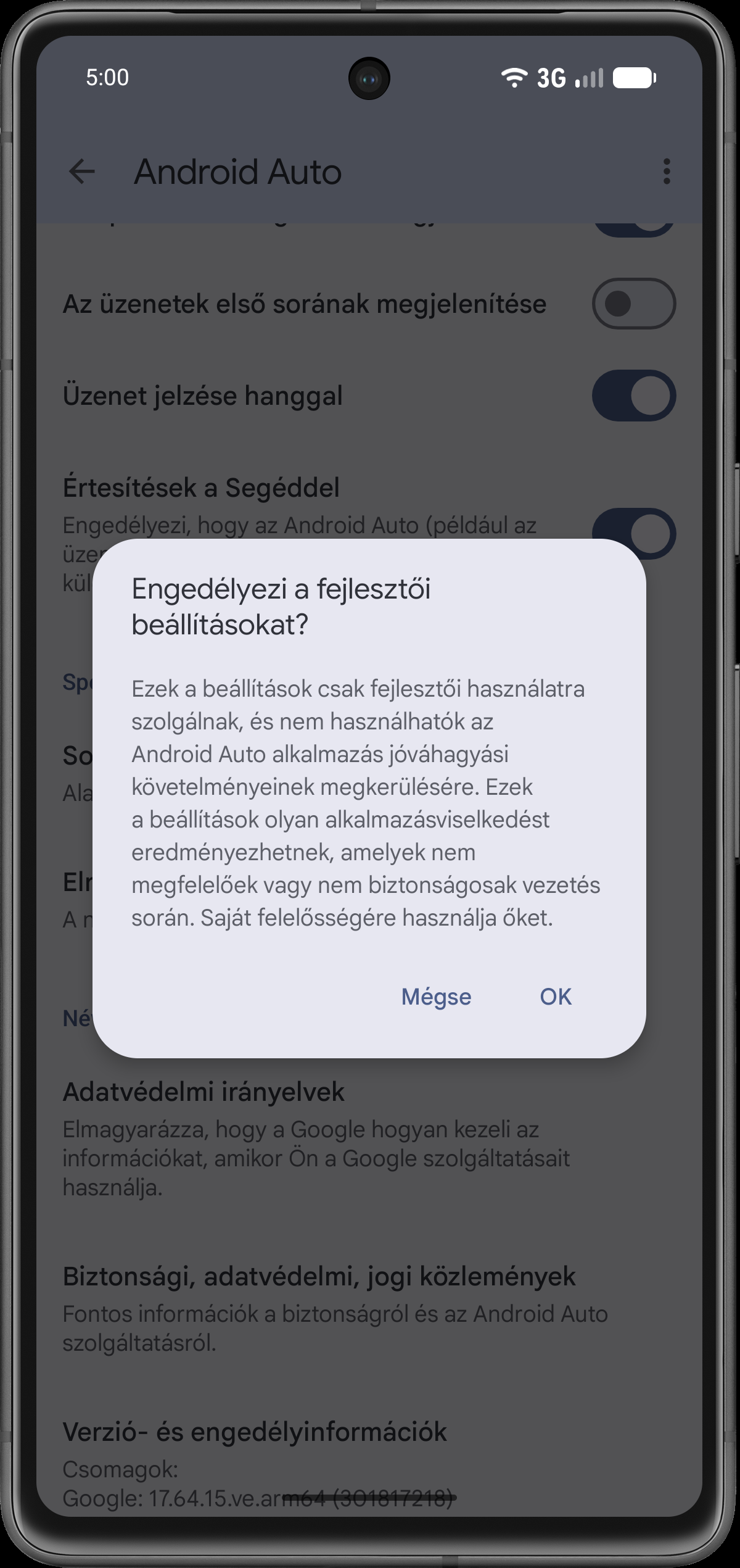 Fejlesztői beállítások megerősítése