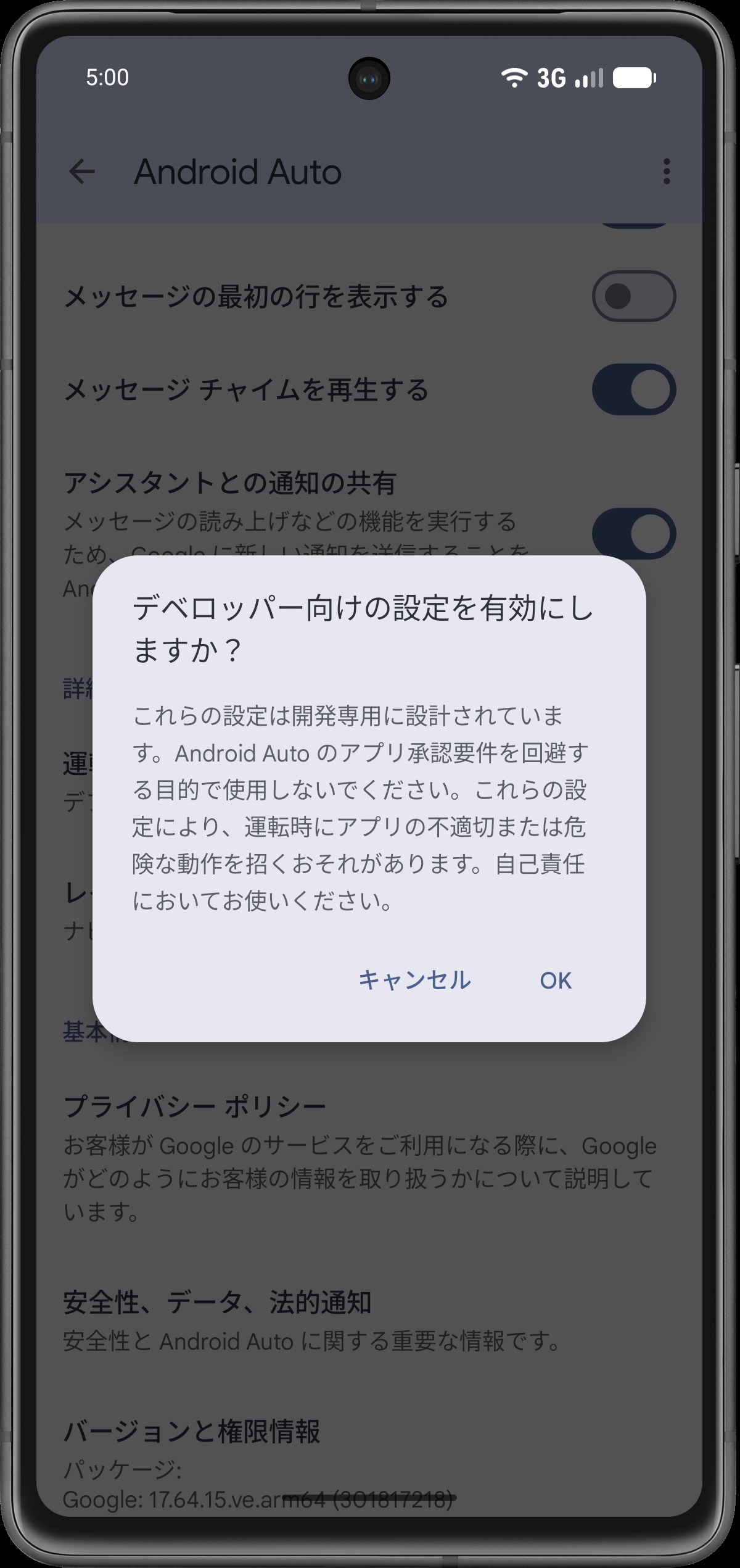 デベロッパー設定を確認